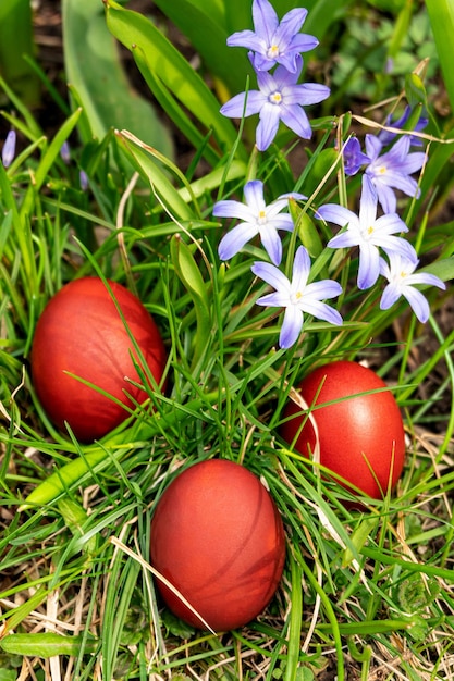Uova di Pasqua rosse dipinte a mano fatte in casa nell'erba in un giardino primaverile soleggiato Concetto di caccia alle uova