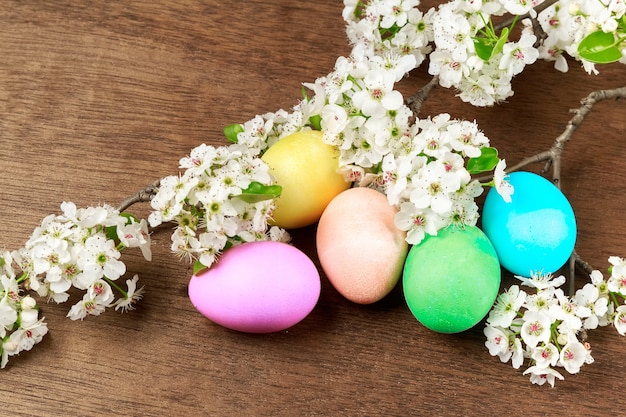 Uova di Pasqua su un ramo di un albero in fiore