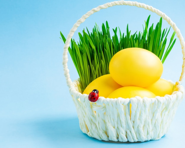 Uova di Pasqua variopinte in un cestino con erba decorativa. Sfondo blu Concetto di vacanza di Pasqua.