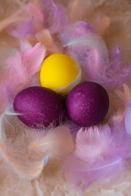 Uova di Pasqua viola e gialle