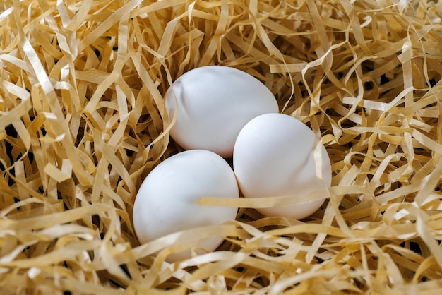 Uova di pollo crude nel primo piano del fieno Prodotti naturali