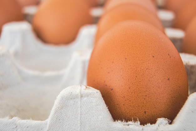 Uova di pollo in primo piano prodotti freschi del mercato degli agricoltori