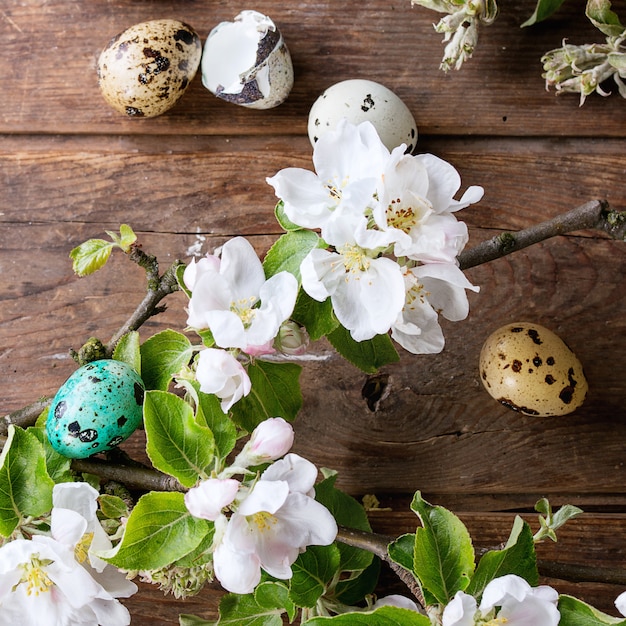 Uova di quaglia colorate di Pasqua