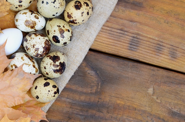 Uova di quaglia con le foglie di autunno sul licenziamento su una superficie di legno marrone scuro