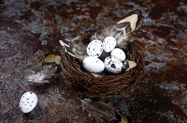 Uova di quaglia decorative di Pasqua in un nido su un tavolo di legno scuro