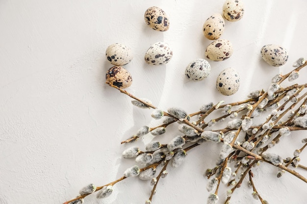 Uova di quaglia di Pasqua nel nido e ramo di salice su sfondo bianco
