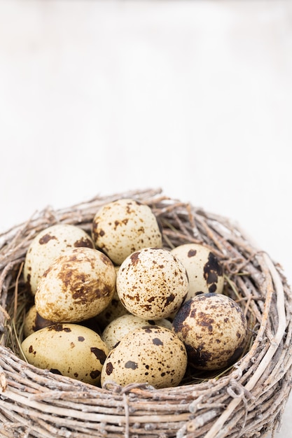 Uova di quaglia di uccelli nidificano. Composizione di Pasqua.