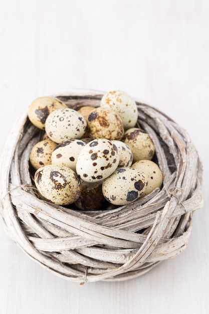 Uova di quaglia di uccelli nidificano. Composizione di Pasqua.