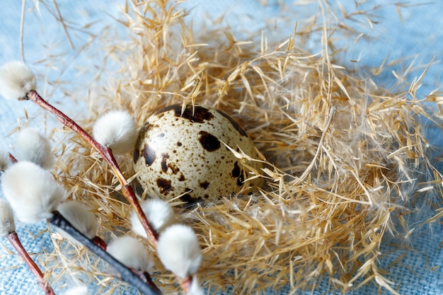 Uova di quaglia in un nido di erba secca per il design sul tema della Pasqua