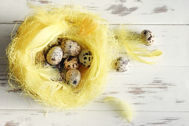 Uova di quaglia in un nido di uccello con piume gialle