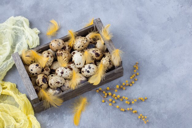 Uova di quaglia in una scatola di legno, mimosa, decorazione di pasqua e piume