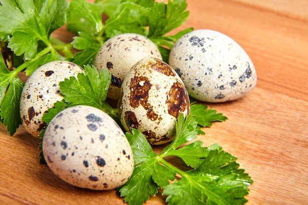Uova di quaglia maculate sul tagliere di legno Prezzemolo verde