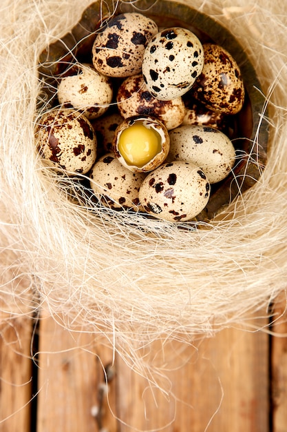 Uova di quaglia nel nido su fondo di legno con il ramo di salice.