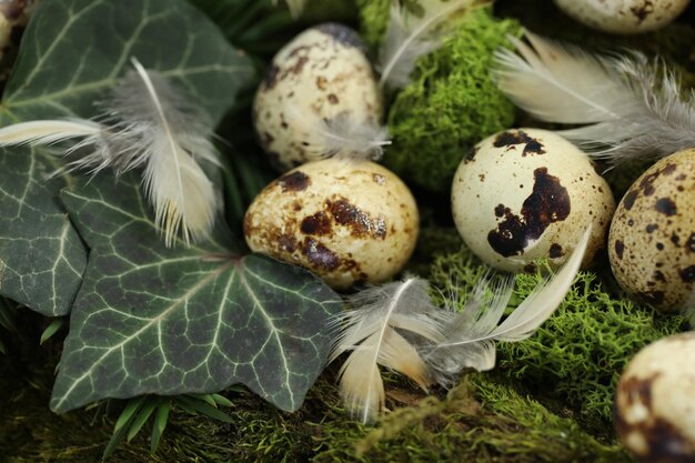 uova di quaglia nell'erba su sfondo verde natura