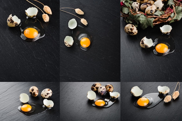 Uova di quaglia su sfondo nero. Nido di uova. Collage di foto impostate.