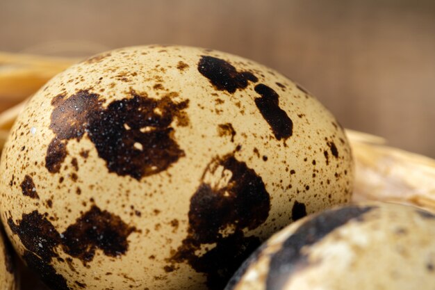 Uova di quaglie in nido sulla tavola di legno