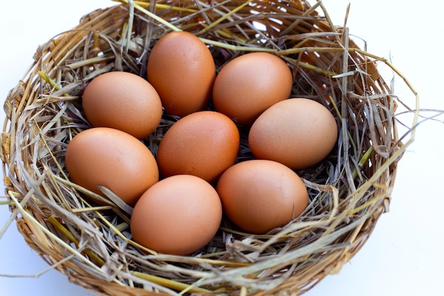 Uova fresche biologiche in un nido di paglia
