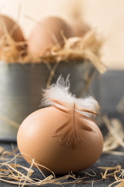 Uova fresche di fattoria. Uovo di Pasqua Con il concetto di piuma.