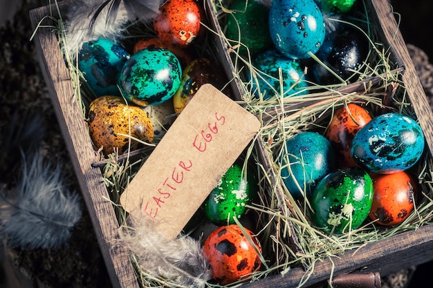 Uova fresche per Pasqua con fieno e piume