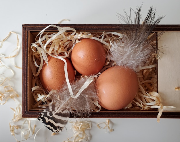 Uova in una scatola di uova organiche copyspace