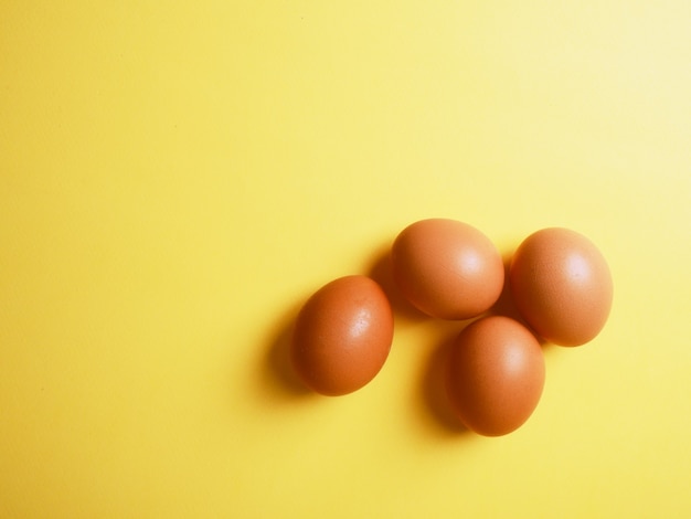 Uova marroni dell'insegna su un fondo giallo con un'ombra