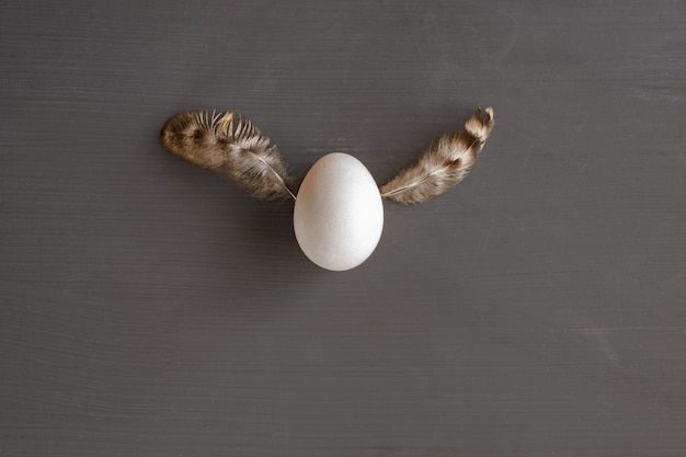 Uovo bianco con le ali di piuma su sfondo scuro.
