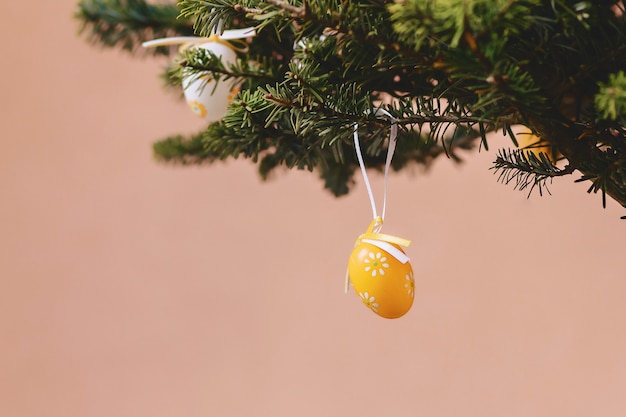 Uovo di Pasqua sul ramo di pino