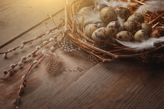 Uovo di Pasqua variopinto in nido sul bordo di legno scuro.