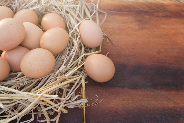 Uovo di pollo fresco in un nido e uova marroni su un tavolo di legno, immagine con lo spazio della copia.