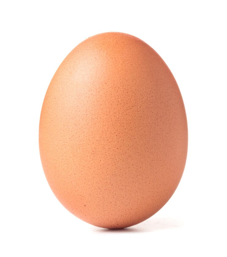 Uovo di pollo