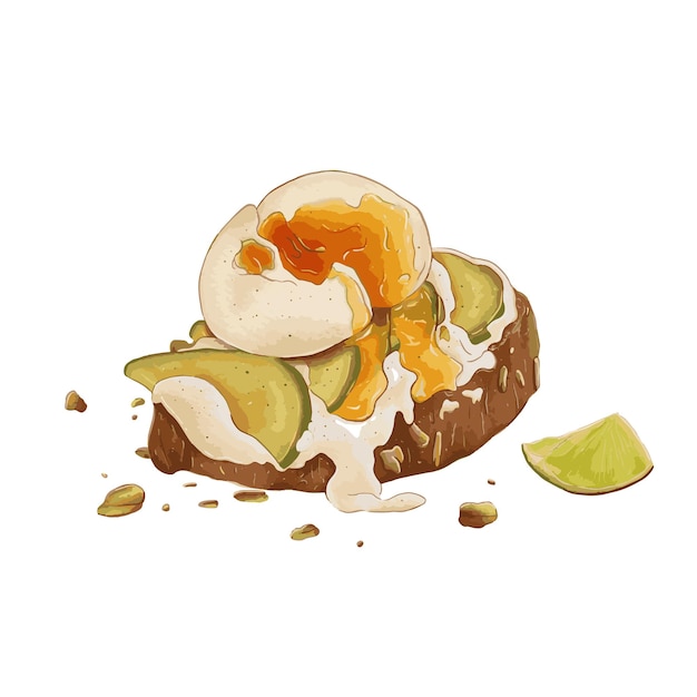 Uovo e Avocado Toast disegnato a mano digitale illustrazione ad acquerello