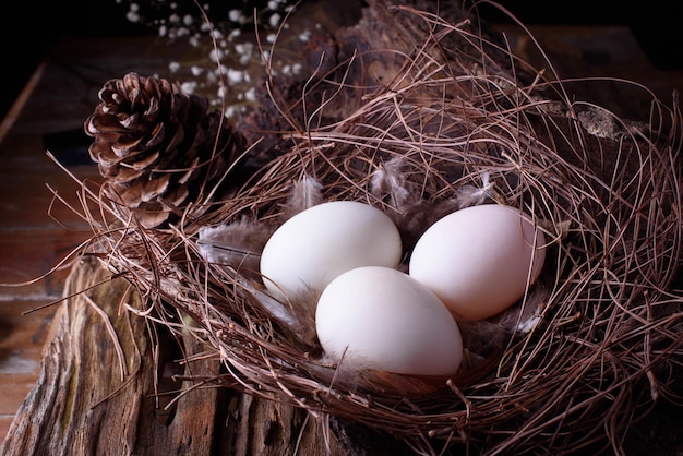 Uovo fresco nel nido in fattoria.