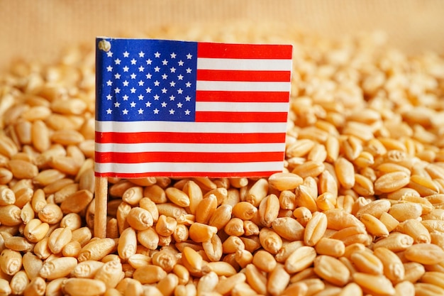 USA America sull'esportazione del commercio di grano e sul concetto di economia