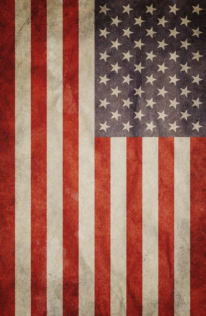 USA vettore di bandiera grunge design