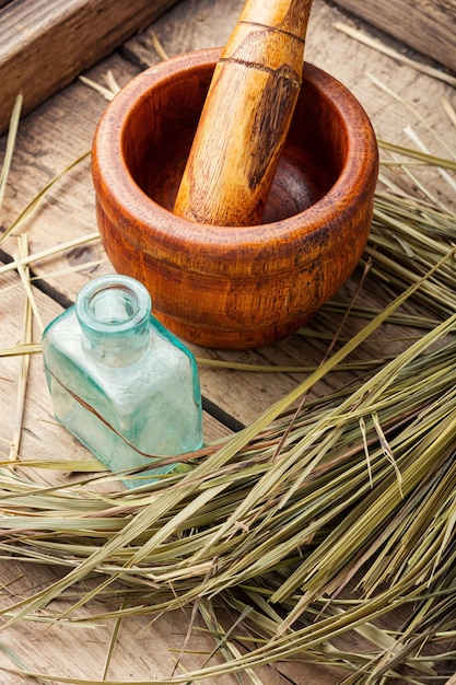 Uso medicinale dell'erba dolce erba. Medicina di erbe, omeopatia