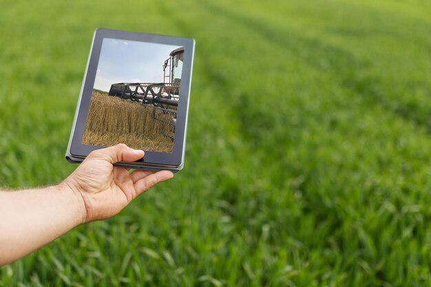 Utilizzando tablet sul campo di grano. Agricoltura moderna. Concetto di futuro del grano.