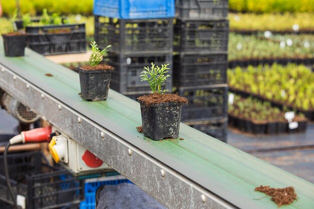 Utilizzo dello sviluppo di macchine agricole per automatizzare l'agricoltura