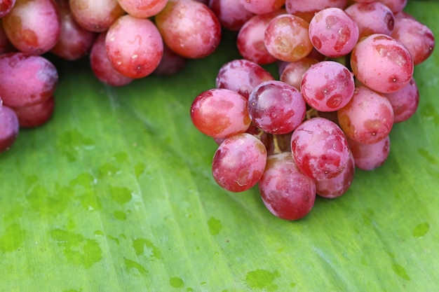 uva al cibo di strada