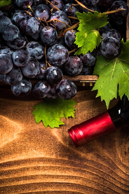 Uva appena raccolta e vino rosso