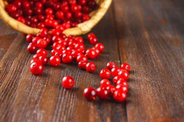 Uva di monte, foxberry, mirtillo rosso, mirtilli rossi sorseggiano dal cesto su un tavolo di legno marrone.