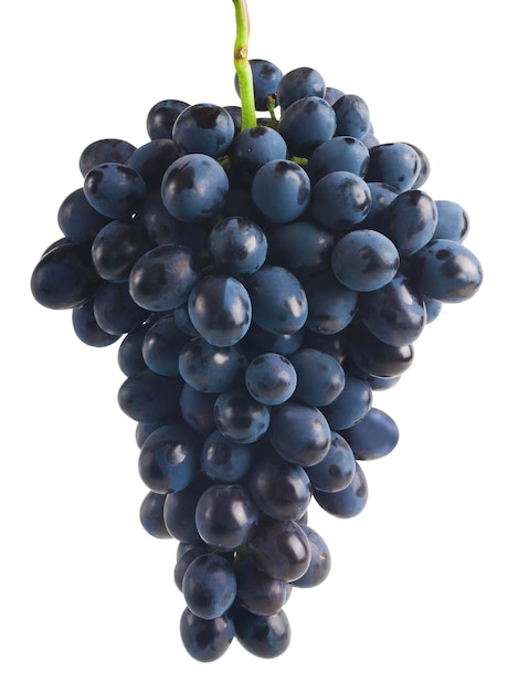 Uva matura