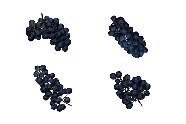 uva scura su sfondo bianco da vicino frutta fresca uva da vino bacche e frutti succosi