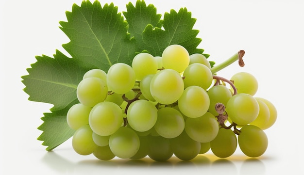 Uva senza semi verde sfondo bianco IA generativa