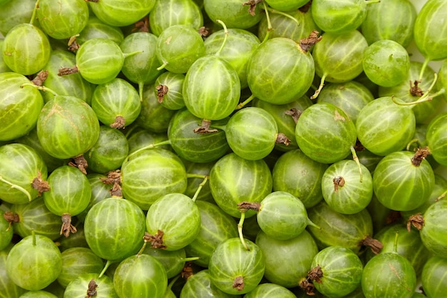 Uva spina bacche verdi cibo sfondo Vista dall'alto di frutti di bosco freschi maturi d'estate