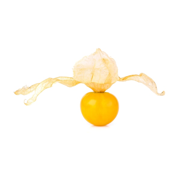 Uva spina del capo (physalis) isolata su bianco