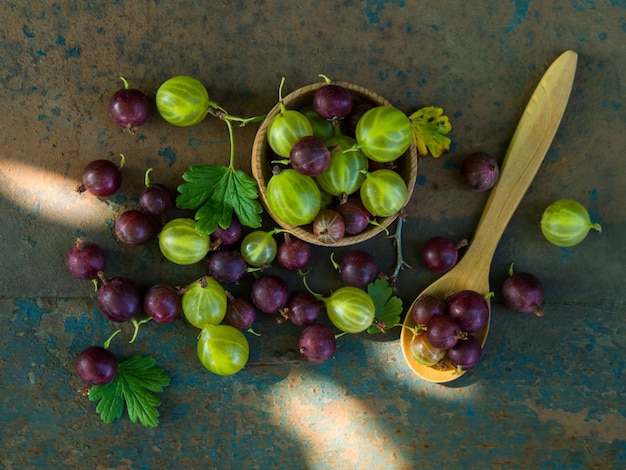 Uva spina in una ciotola su una superficie vecchia foglie e bacche di uva spina rossa e verde Raccogliere le uva spina in stile country