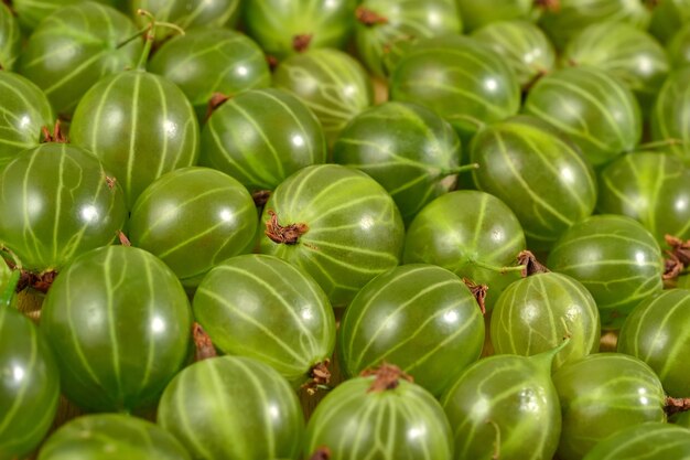 Uva spina verde fresca da vicino come trama di sfondo