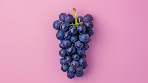 Uva succulenta su uno sfondo di colore solido