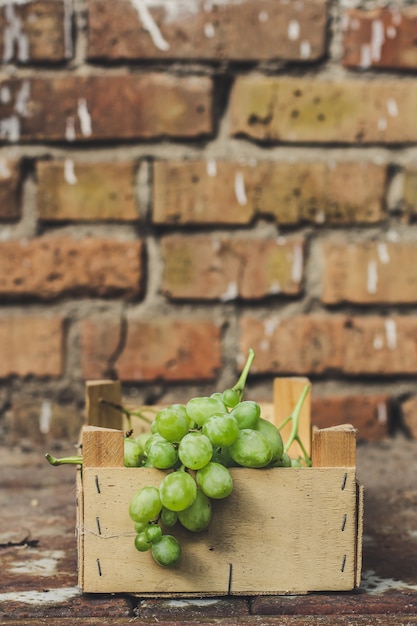 uva, vendemmia matura e succosa