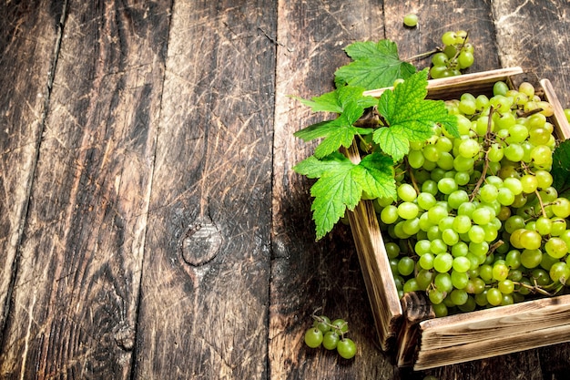 Uva verde in una scatola sulla tavola di legno.